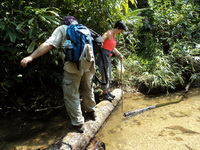 chiang mai treks, trekking doi inthanon