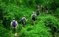 chiang mai trekking, trekking doi inthanon