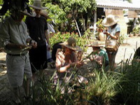 cooking schools in chiang mai, cookery schools in chiang mai