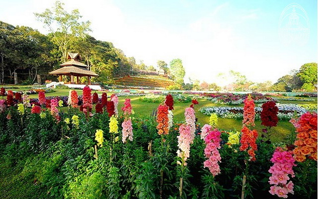 chiang mai garden, chiang mai park