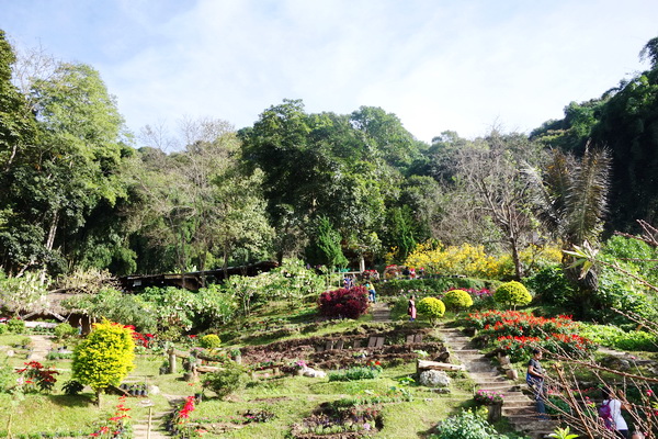 doi suthep – pui national park, doi suthep pui national park, doi suthep, national parks in northern thailand