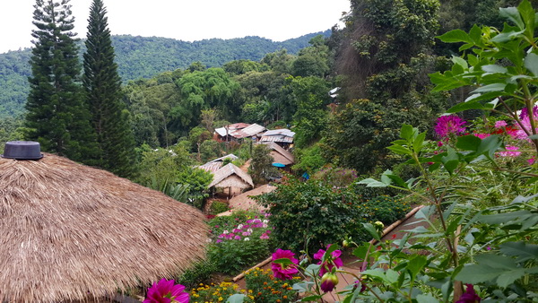 doi suthep – pui national park, doi suthep pui national park, doi suthep, national parks in northern thailand