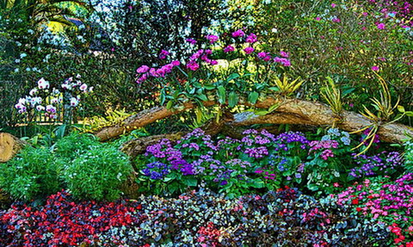 doi suthep – pui national park, doi suthep pui national park, doi suthep, national parks in northern thailand