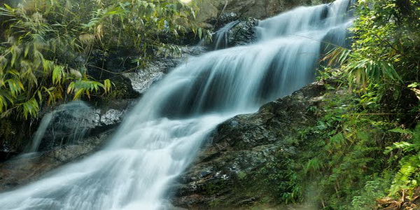 doi suthep – pui national park, doi suthep pui national park, doi suthep, national parks in northern thailand