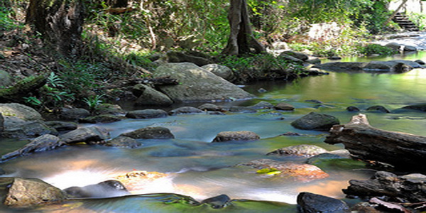 doi suthep – pui national park, doi suthep pui national park, doi suthep, national parks in northern thailand