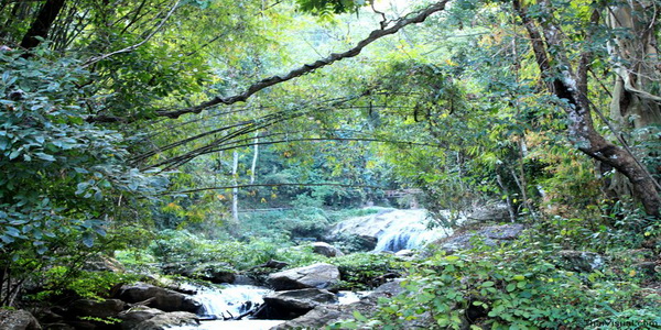 doi suthep – pui national park, doi suthep pui national park, doi suthep, national parks in northern thailand